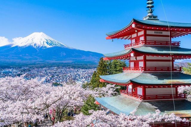 【富士山探索之旅 】河口湖&山中湖&羅森便利店 雙湖一日遊（東京出發，精品小團，酒店接送可選）