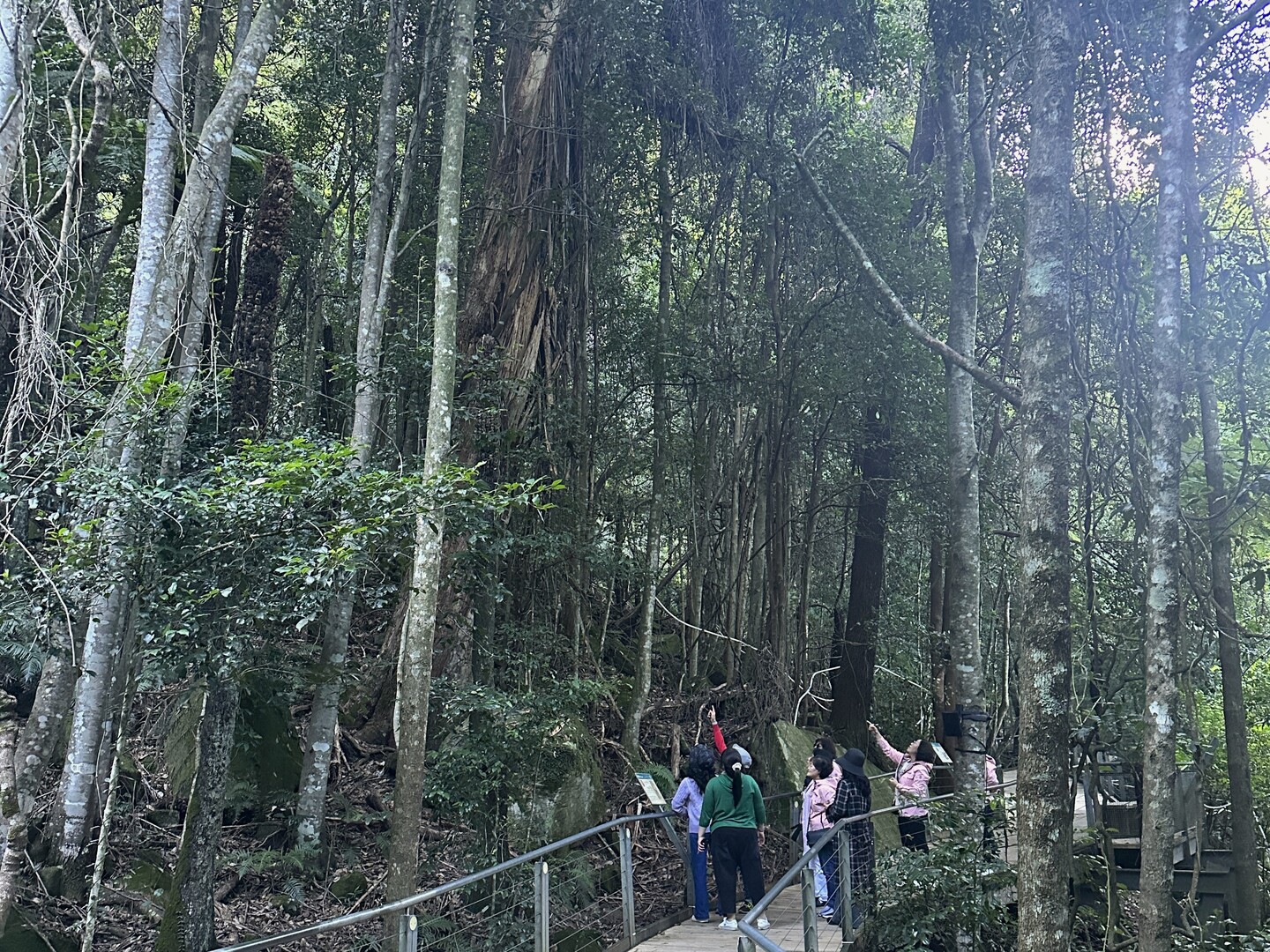 藍山終極一日遊