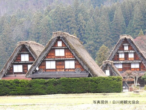 圖片由白川鄉觀光協會提供