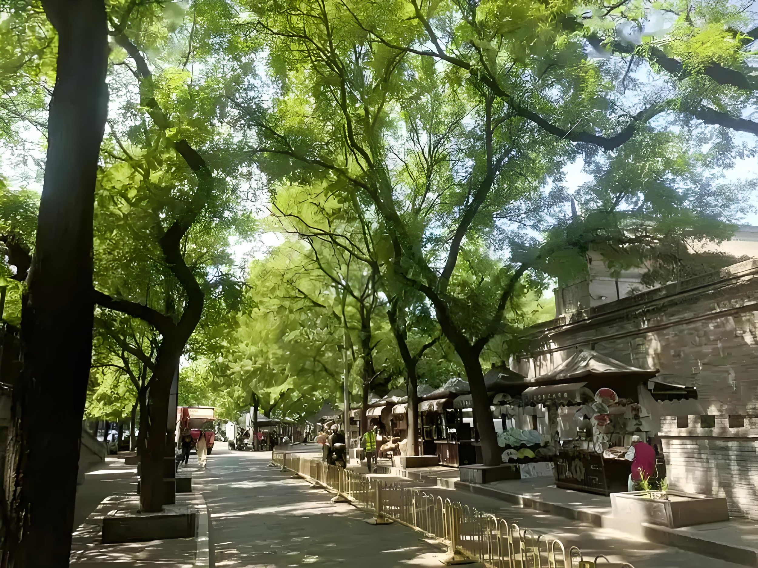 城牆根下的時光隧道--西安citywalk(中英文導遊，2人起，每日發團)