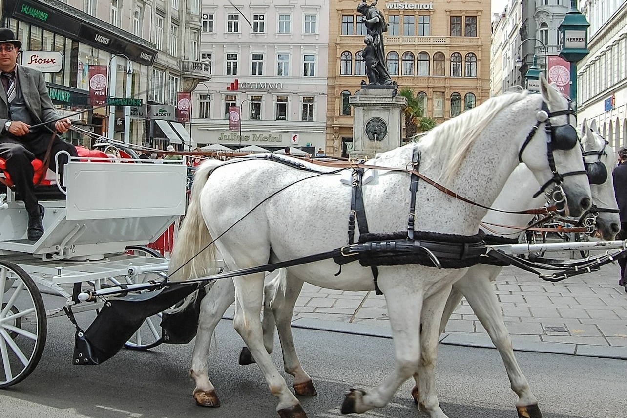 維也納茜茜公主博物館 & 霍夫堡宮徒步之旅