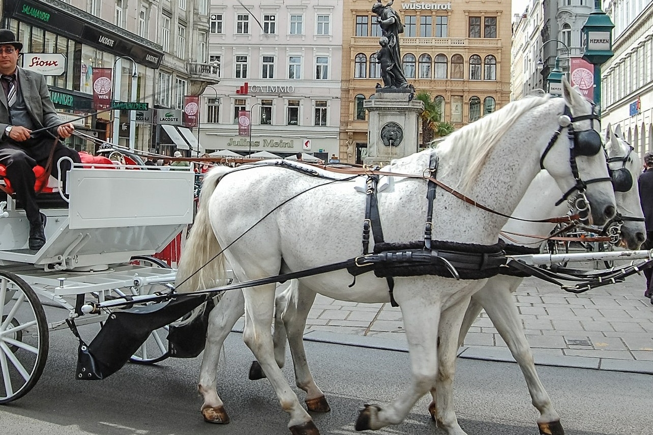 Vienna Sisi Museum and Hofburg Palace Walking Tour