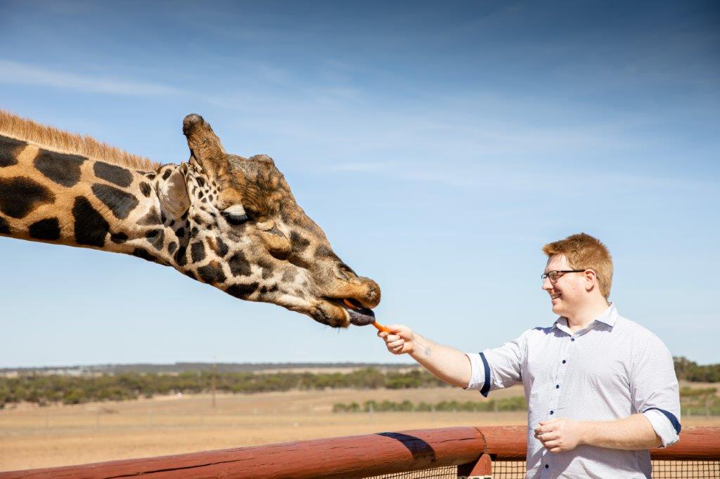 Giraffe Safari Experience and A Day at Monarto Safari Park