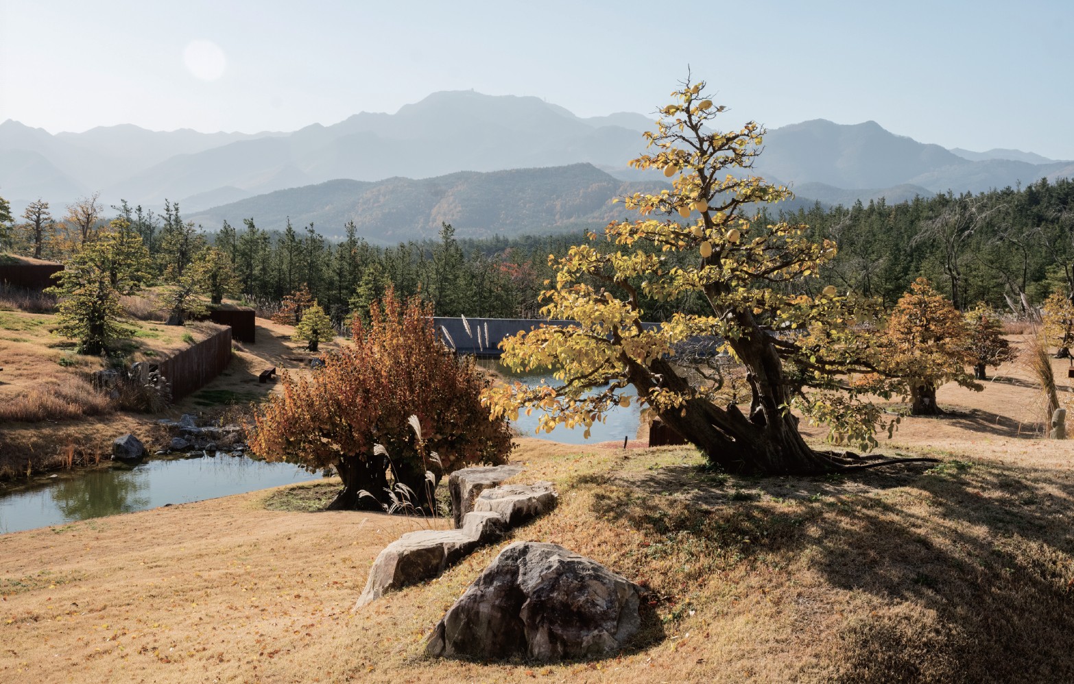 大邱 Sayuwon植物园门票