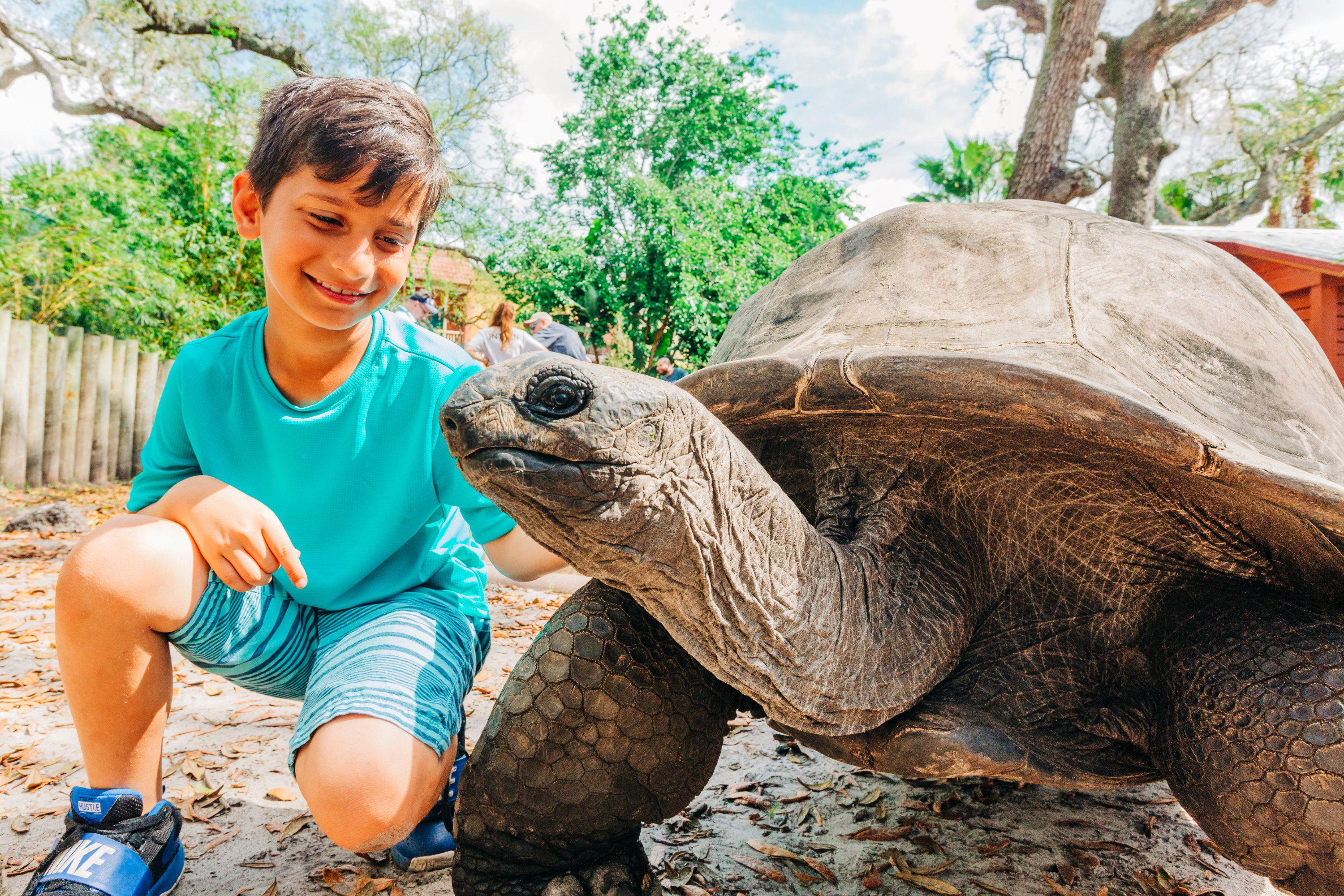 坦帕羅瑞動物園（ZooTampa）門票