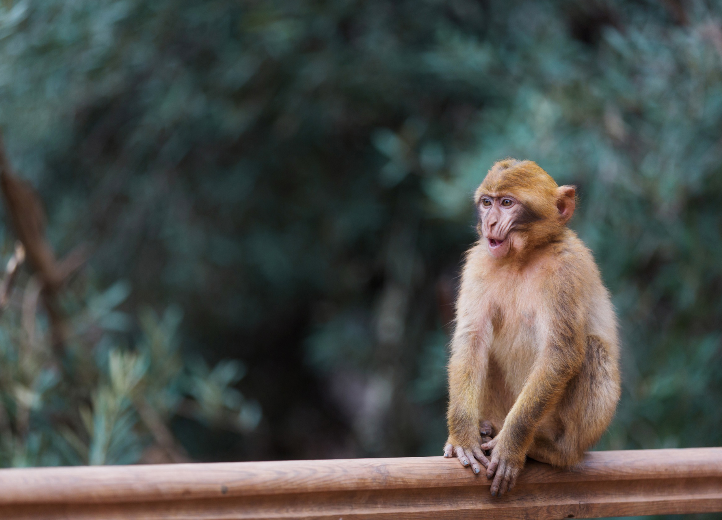 3-Day Imperial Cities Tour Via Atlas Mountains From Marrakech