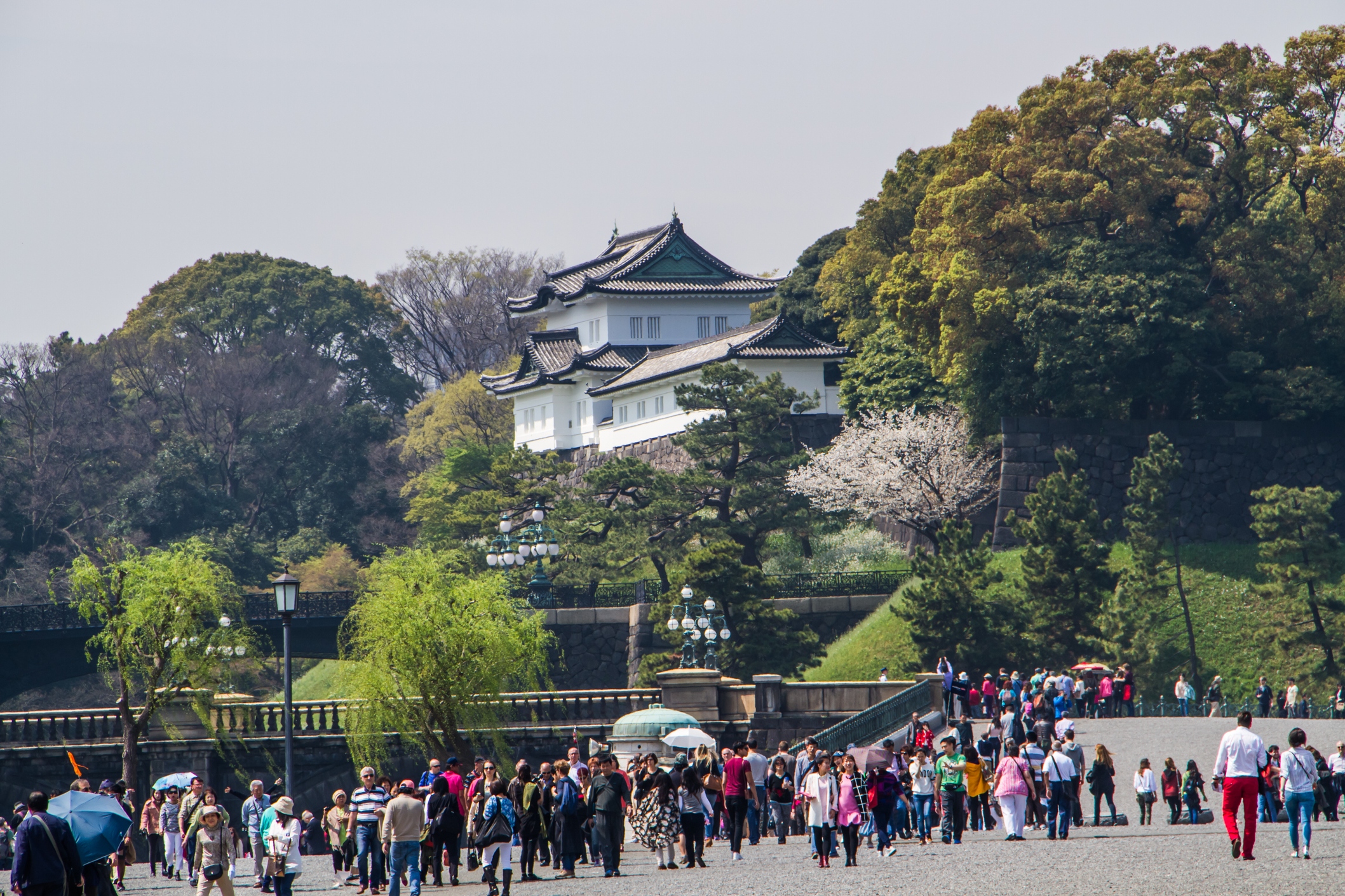東京：明治神宮、皇居、秋葉原與淺草寺巴士之旅