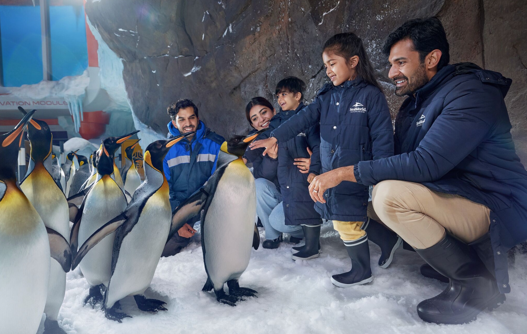 penguin encounter
