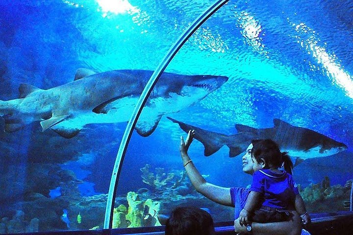安塔利亞水族館之旅（含門票＆接送）- 阿拉尼亞出發