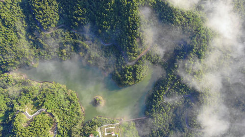 白江湖森林公園