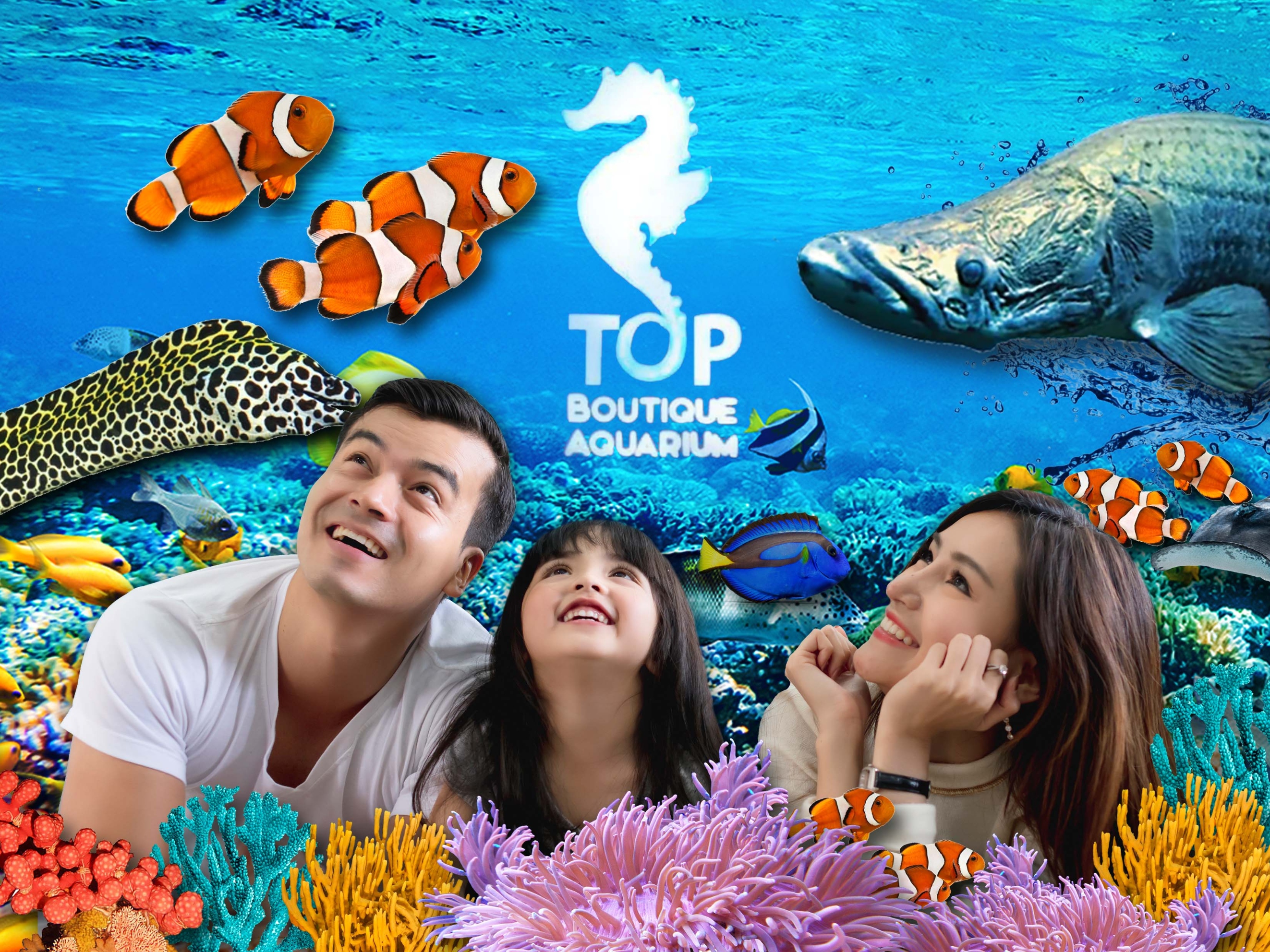 檳城光大精品水族館門票