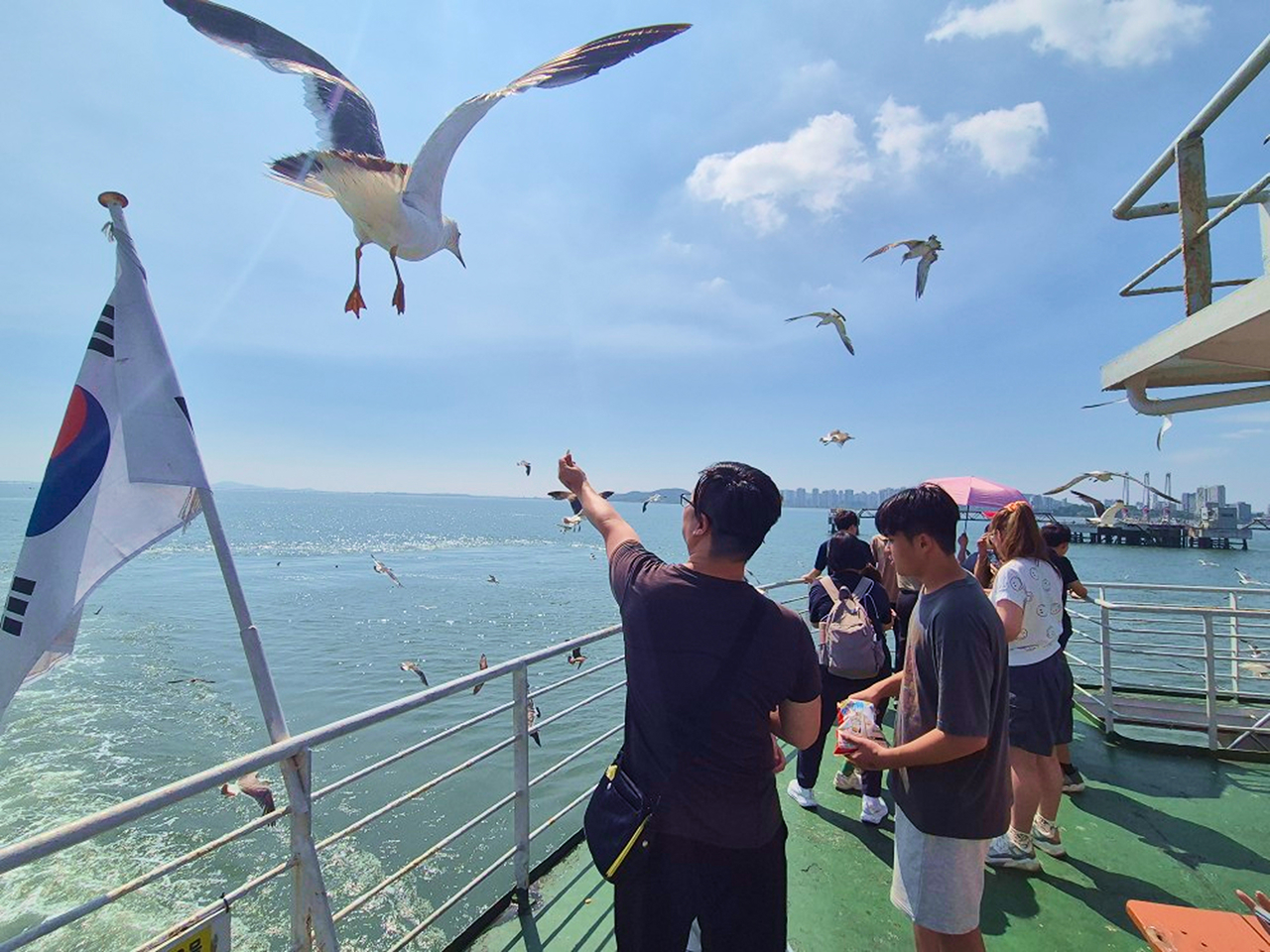 搭乘渡輪出海，親手餵食海鷗，享受與大自然的親密接觸！🦅