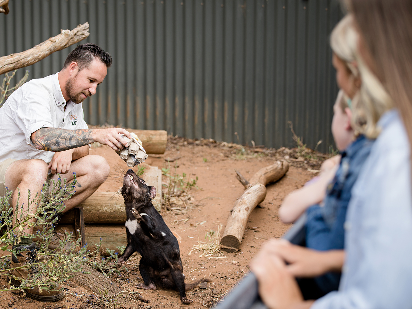A Devilish Native Experience at Monarto Safari Park
