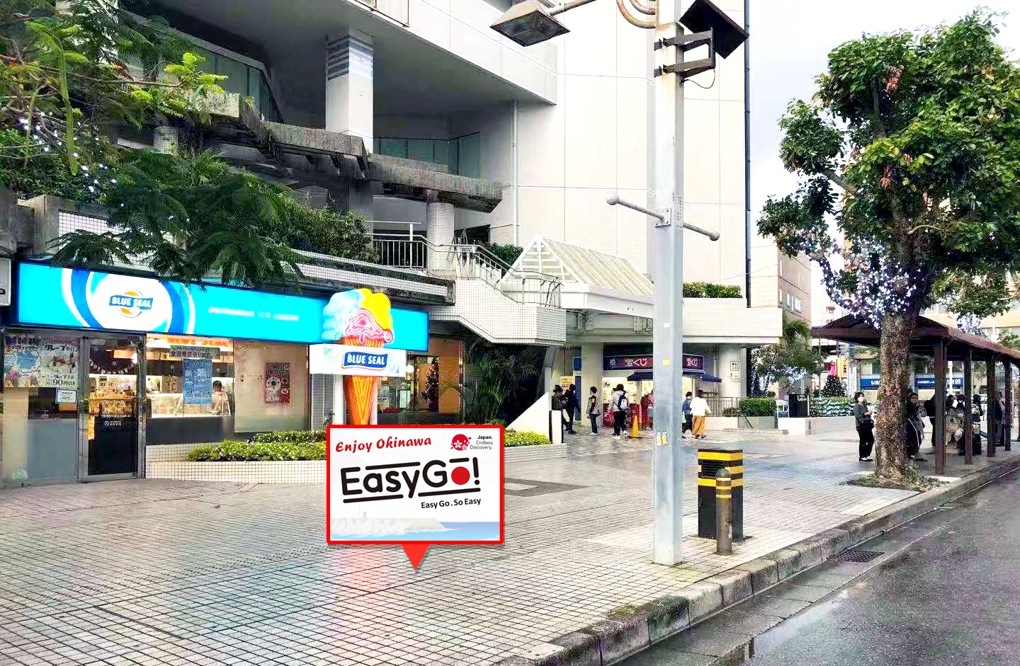 Okinawa 3-Day Tour: North, Central, and South