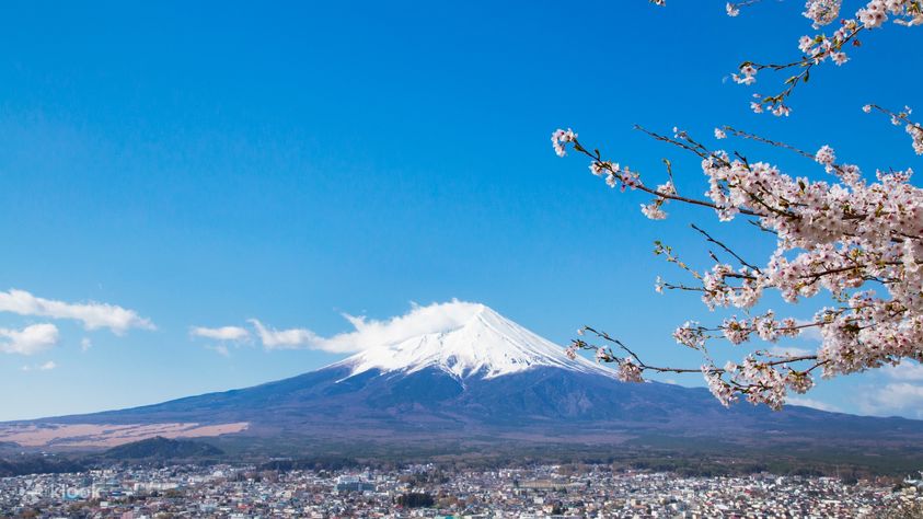 富士山 & 箱根一日遊（含午餐）- 東京出發