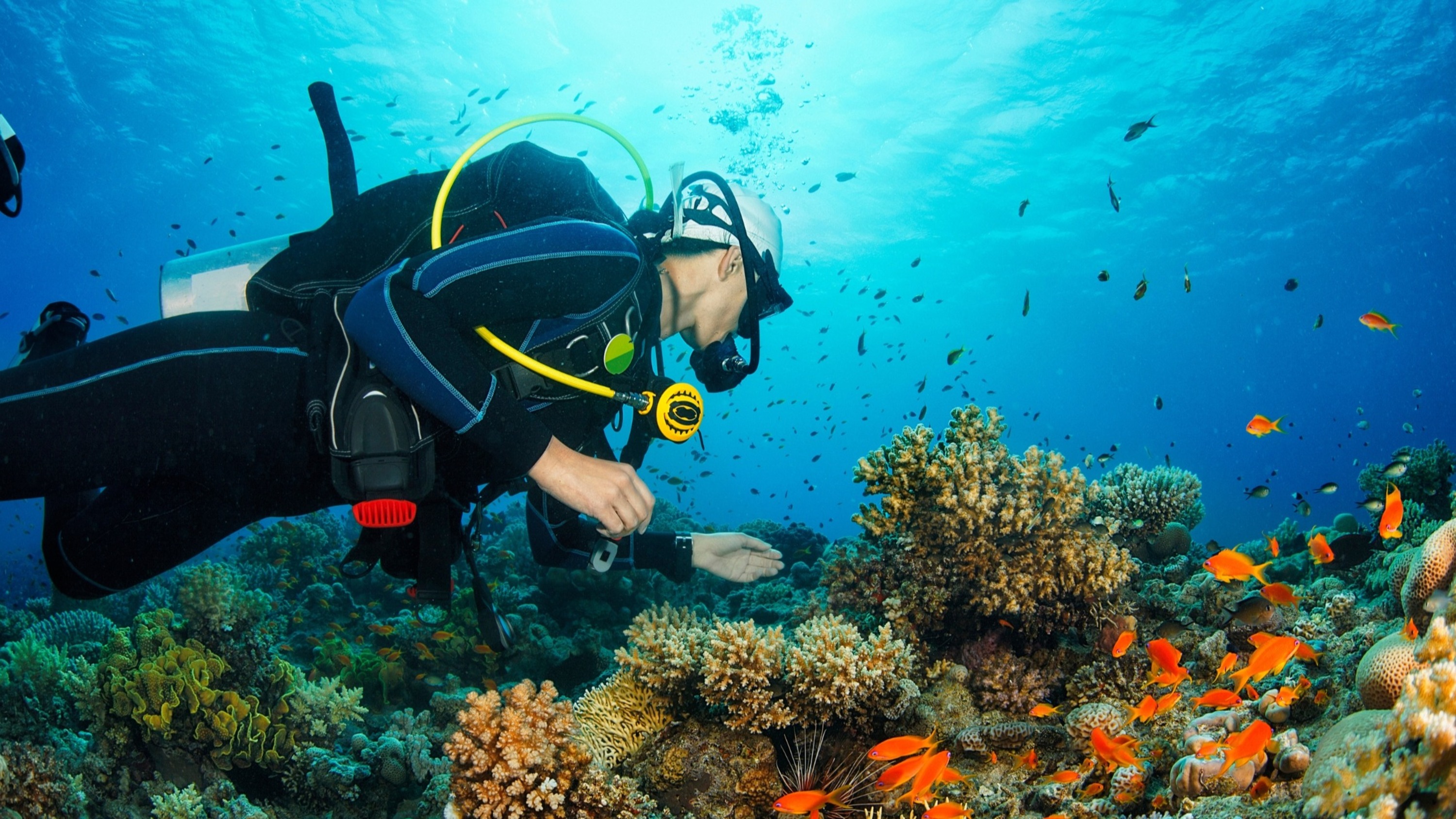 Diving experience in Khasab