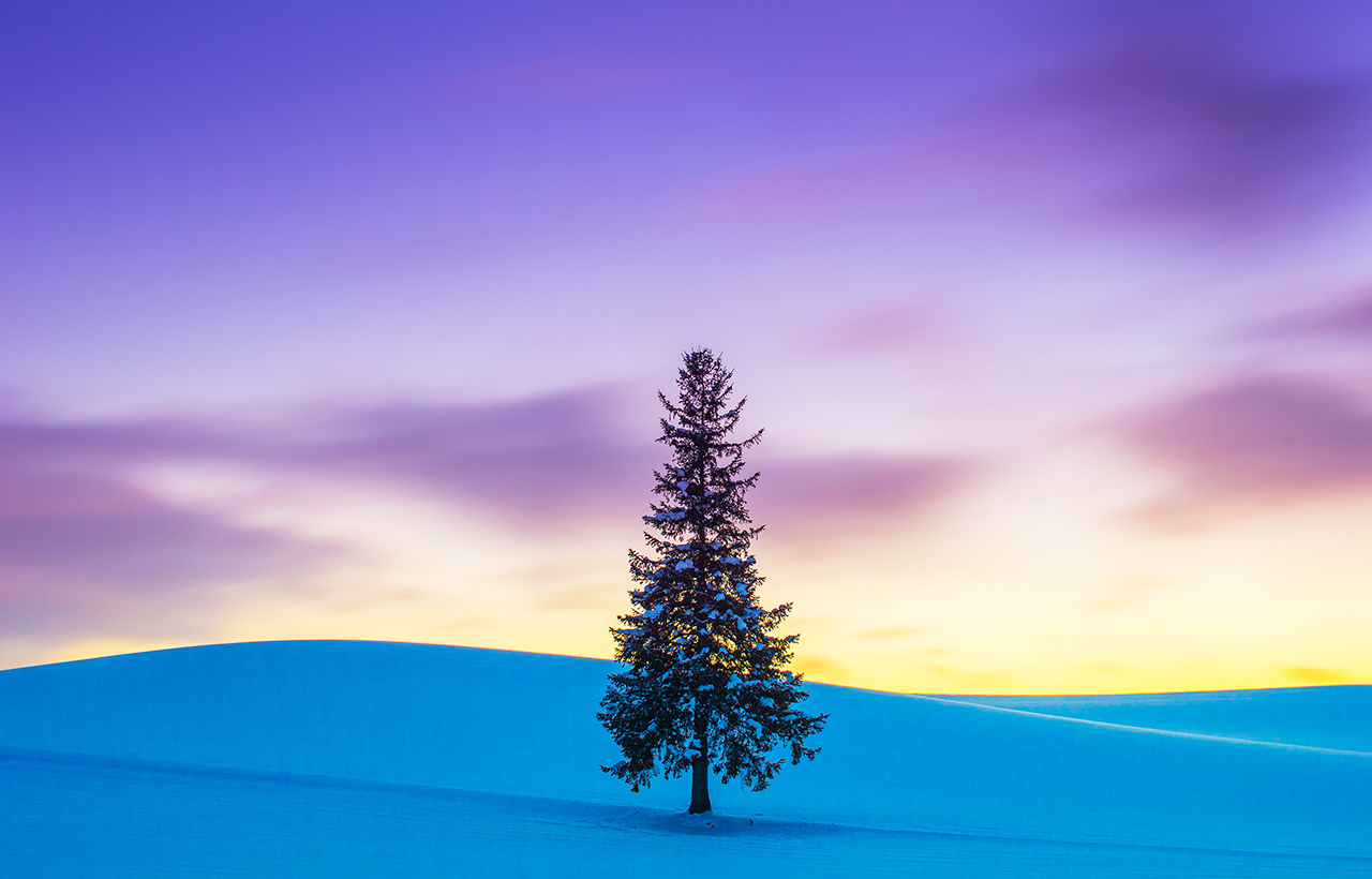 美瑛的田園景色,是農家們為了栽培美味的農作物而耕種成的獨特景緻。
然而近年為了拍攝美景不自覺踏入了農地內的旅客增多。此舉不僅傷害了農作物,也踐踏了農家的辛勞成果與粒粒汗珠。故煩請大家遵守以下觀光禮儀,讓我們一同守護農村最初的美麗樣貌。 美瑛的田園景色,是農家們為了栽培美味的農作物而耕種成的獨特景緻。
然而近年為了拍攝美景不自覺踏入了農地內的旅客增多。此舉不僅傷害了農作物,也踐踏了農家的辛勞成果與粒粒汗珠。故煩請大家遵守以下觀光禮儀,讓我們一同守護農村最初的美麗樣貌。