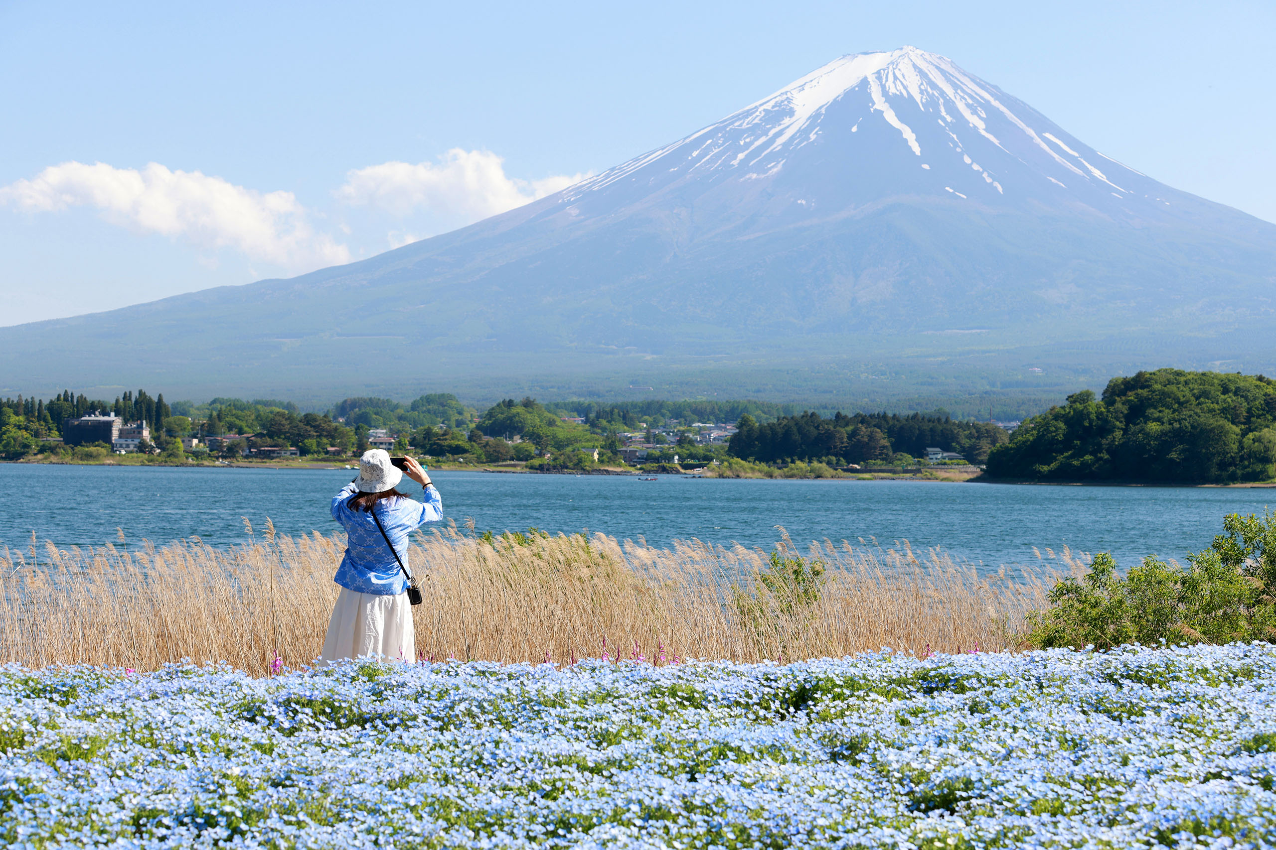 在河口湖欣賞富士山最經典、最令人驚嘆的美景。這個富士五湖的瑰寶交通便利，鄰近大石公園，神聖的富士山峰倒映在寧靜的水面上，如詩如畫。
