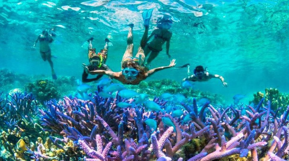 coral reef snorkeling