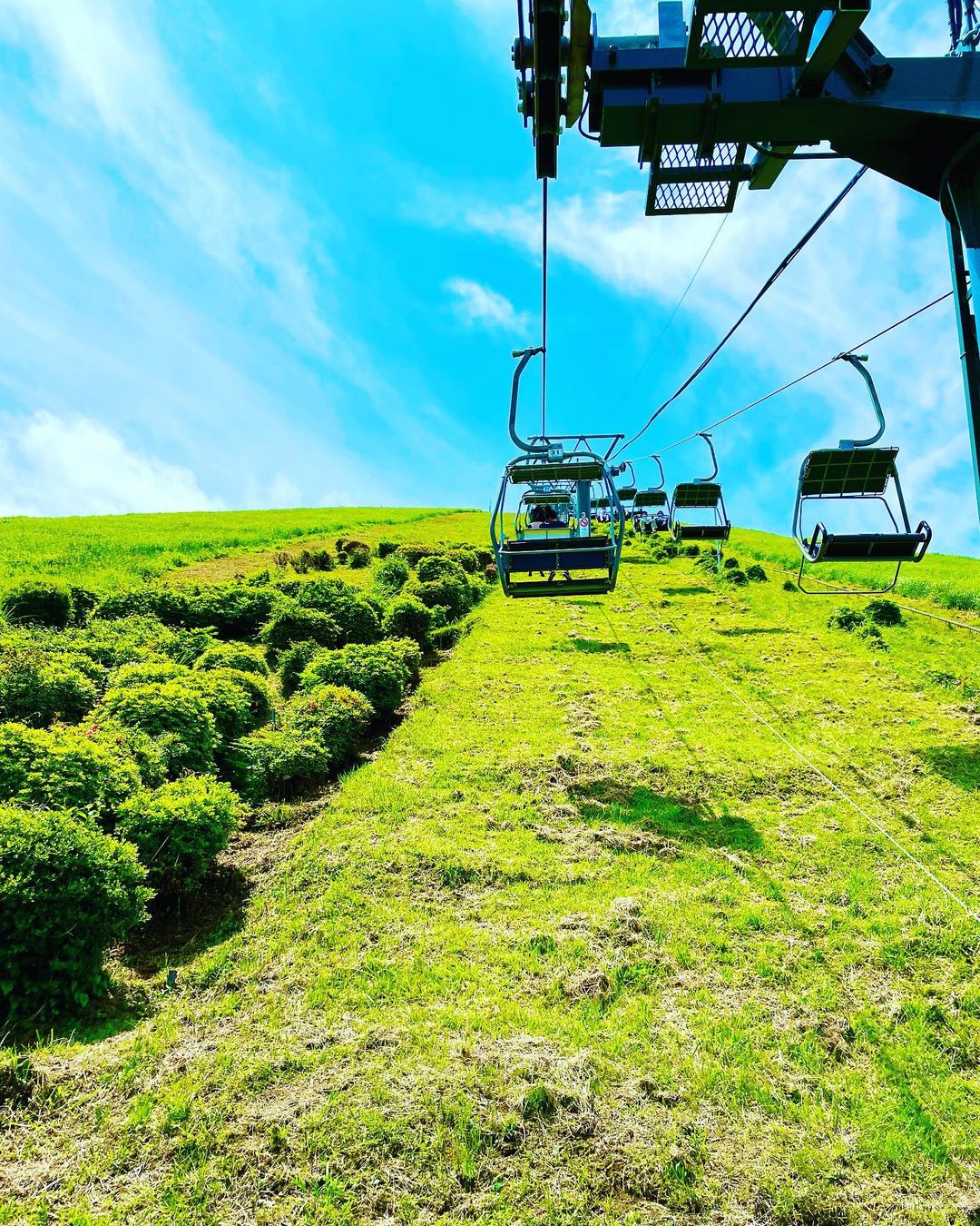 乘坐纜車登山大室山頂,看似可怕實際很友好哦~
(旺季纜車排隊時間過長,請合理安排時間) 乘坐纜車登山大室山頂,看似可怕實際很友好哦~
(旺季纜車排隊時間過長,請合理安排時間)