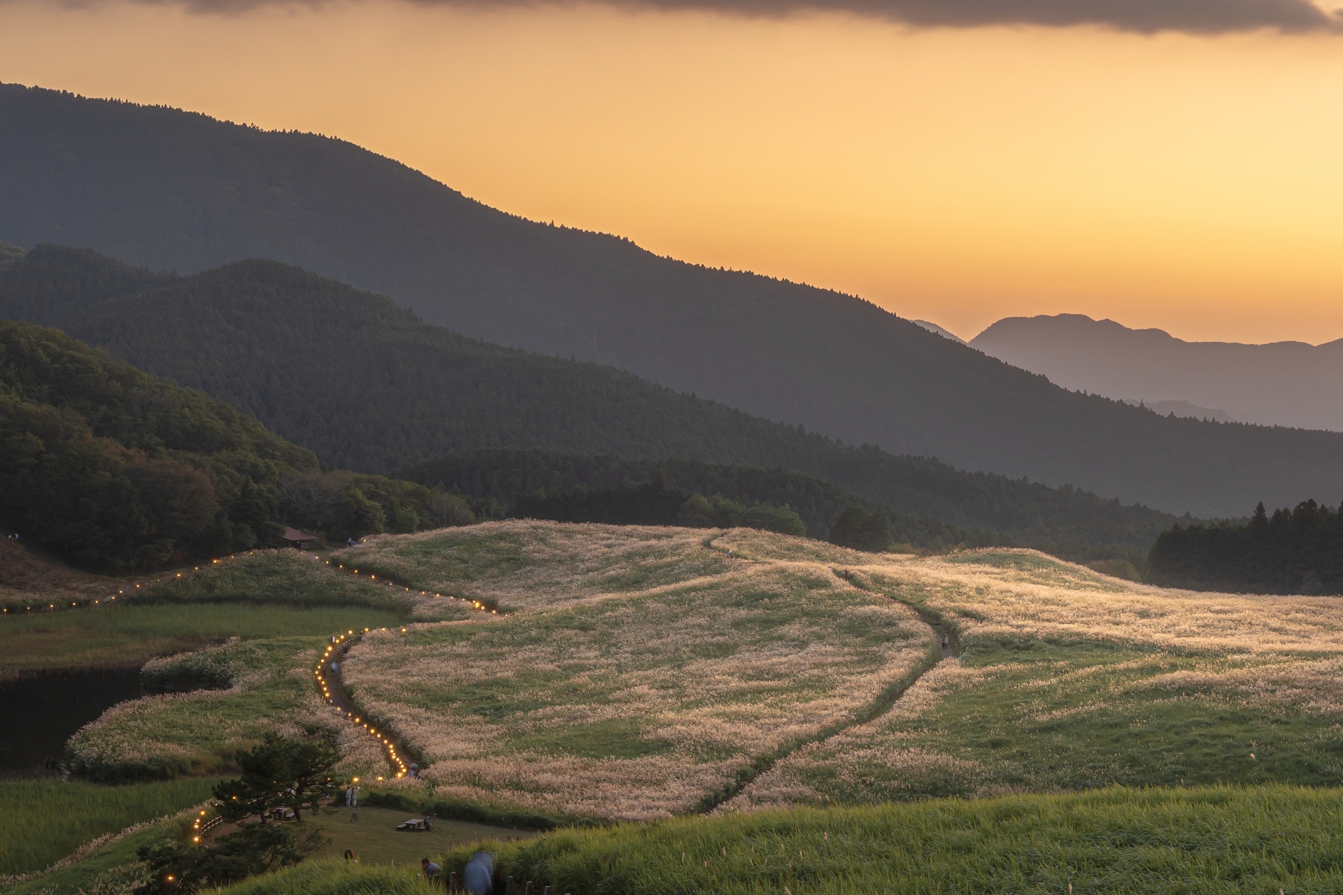 From Nagoya: Soni Highlands Eco-Adventure & Giant Salamanders