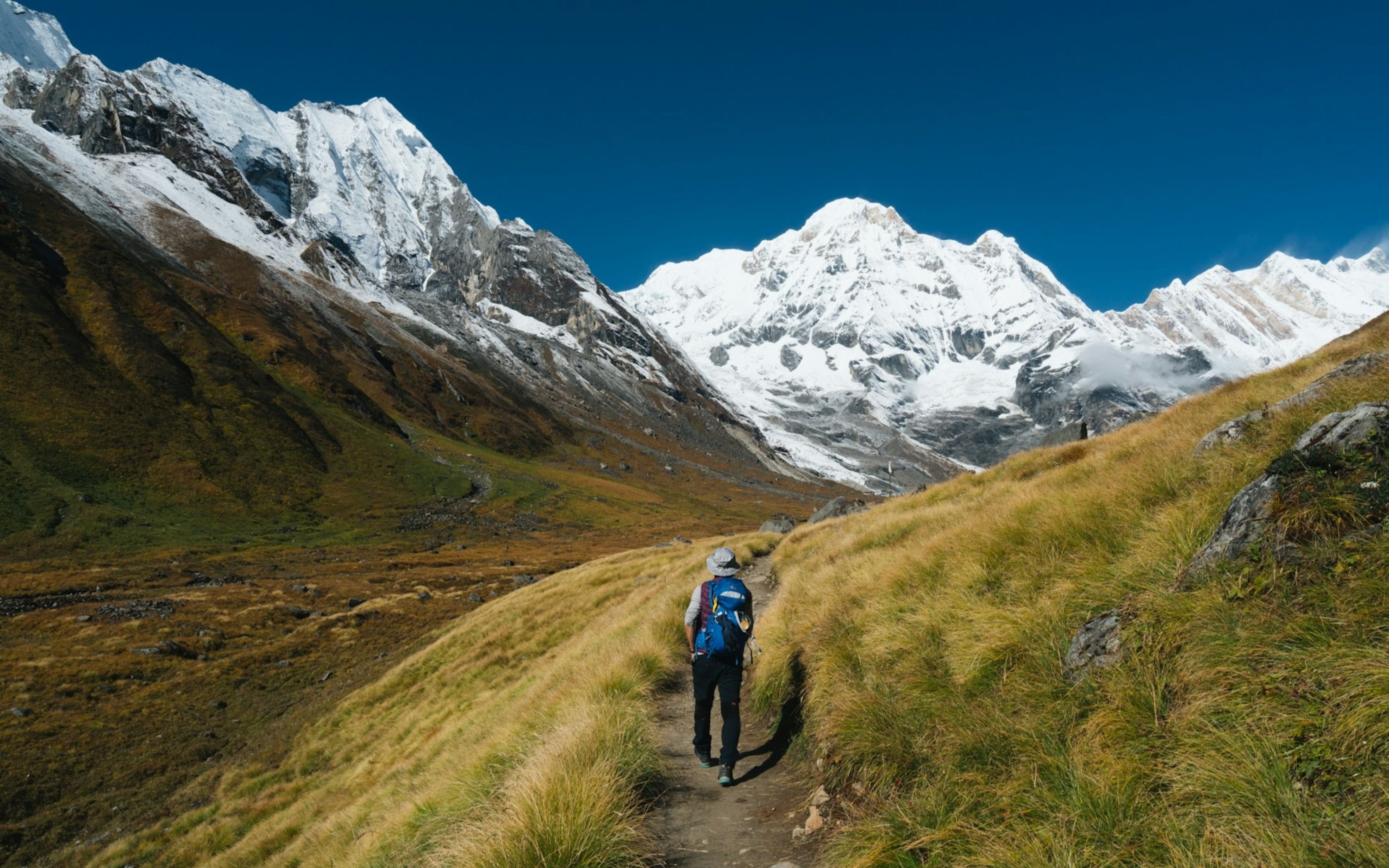 穿越杜鵑花林、梯田山谷與白雪皚皚的山峰，展開一場改變生命的旅程。