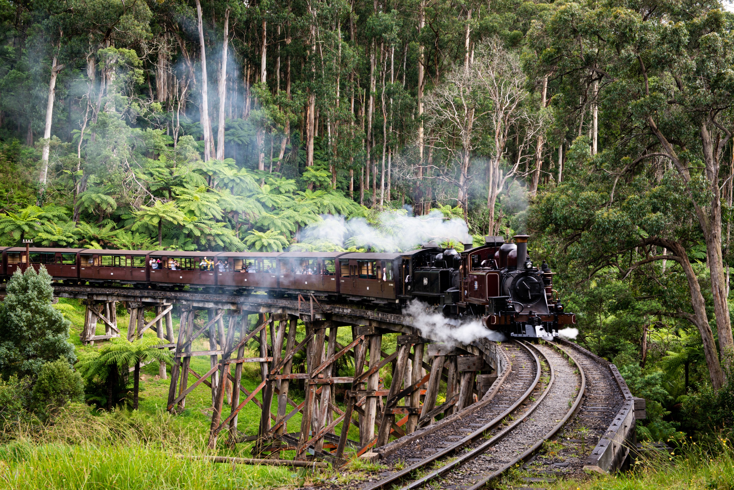 Puffing Billy & Penguins Day Tour from Melbourne