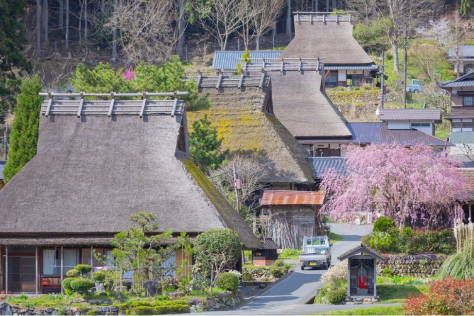 清水寺 & 伏見稻荷大社 & 奈良公園 & 東大寺／天橋立 & 伊根舟屋 & 美山茅葺之里一日遊 (韓中英導遊)