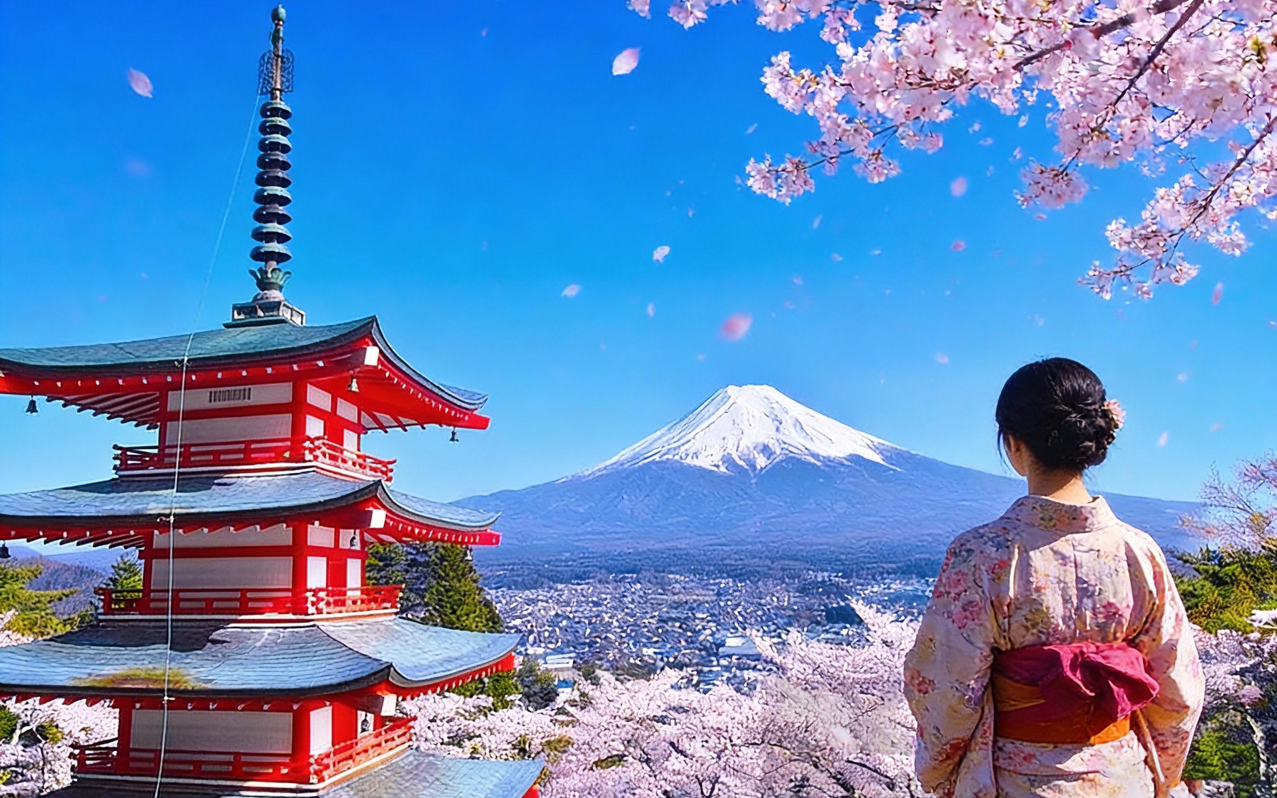 Mount Fuji Day Trip: Mount Tenjo Park in Kawaguchiko with Ropeway & Arakurayama Sengen Park & Nikawa Clock Shop & Lawson Convenience Store & Oishi Park (Departure from Tokyo)