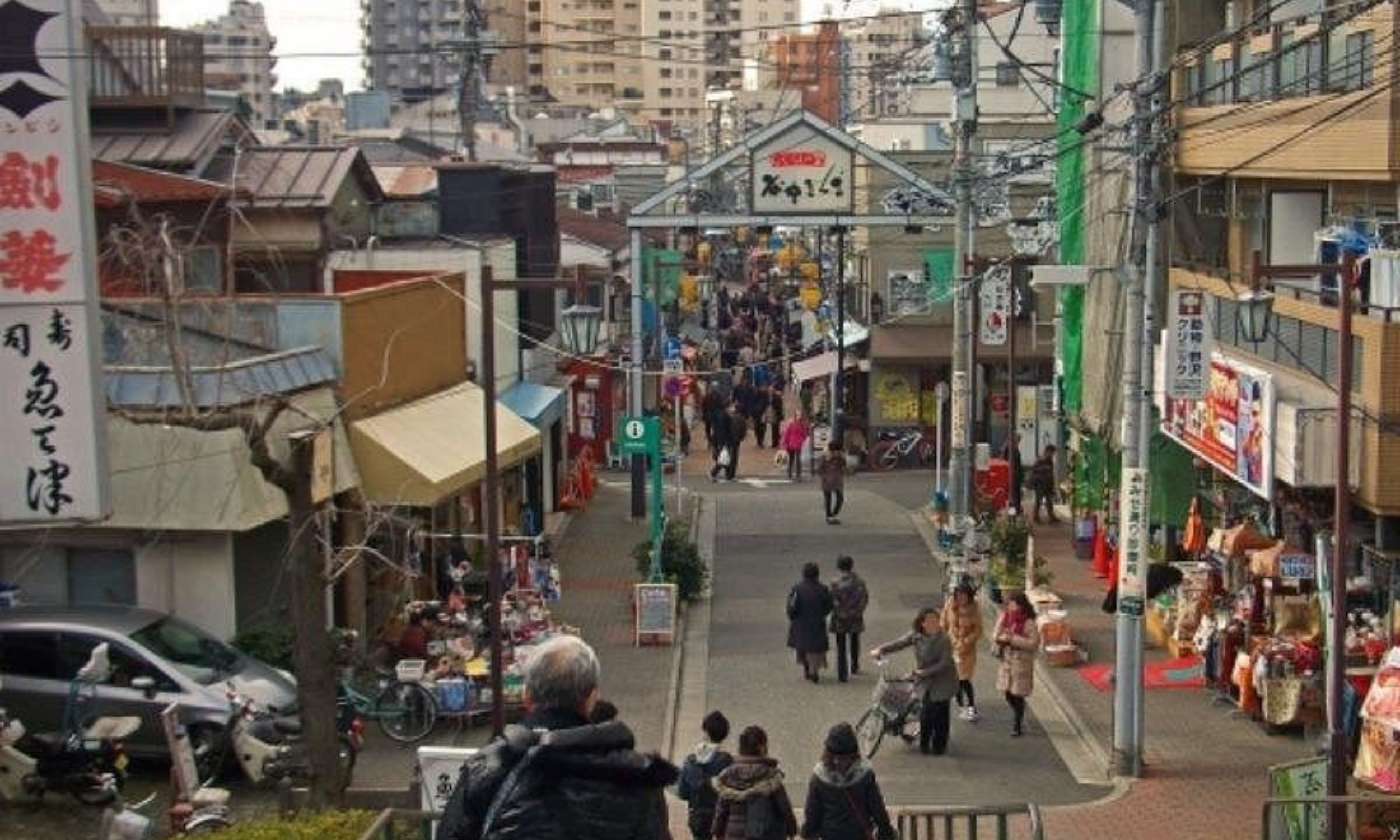 Tokyo Nezu Shrine & Ueno Ameyoko Half-Day Walking Tour