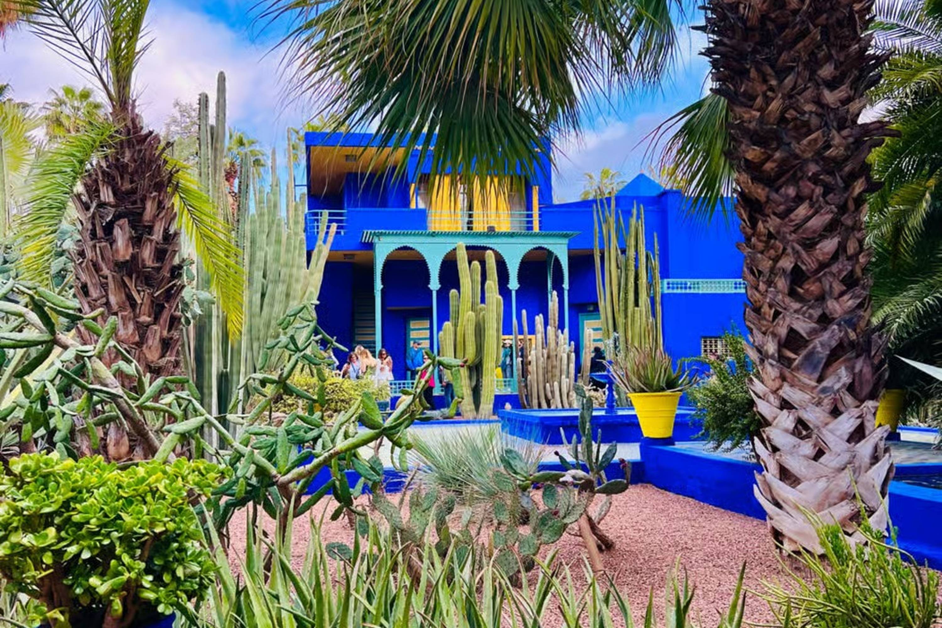 Majorelle Garden ticket & Carriage Ride in Marrakech