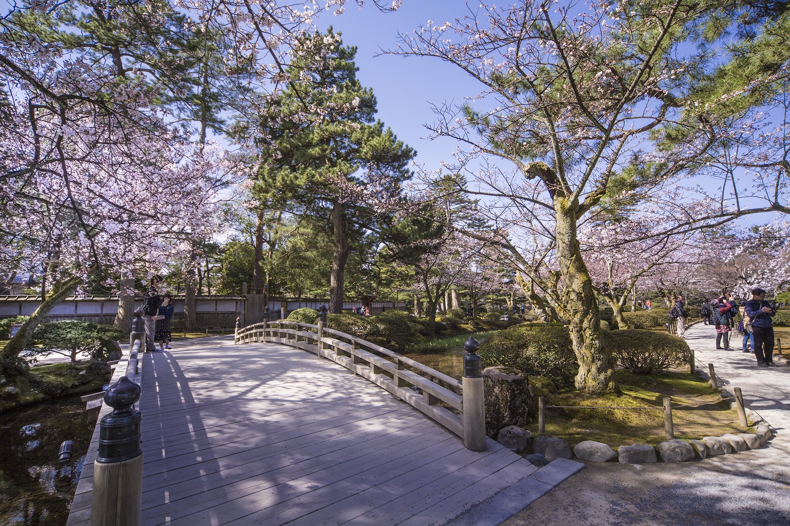 金澤兼六園＆東茶屋街一日遊（含手鞠壽司製作體驗）