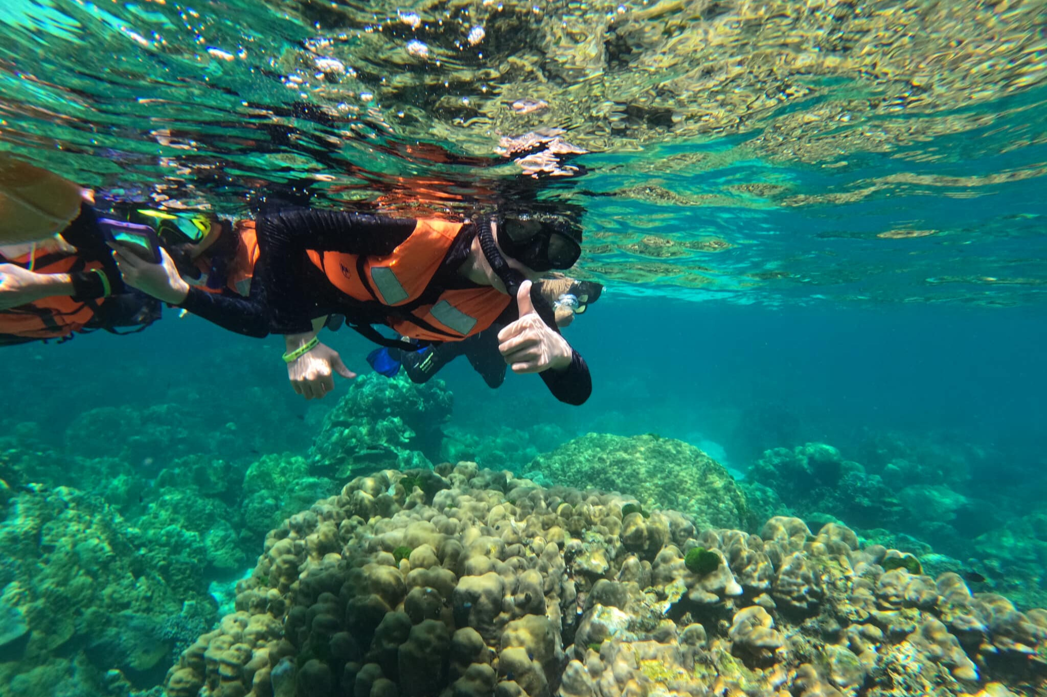 Koh Rok & Koh Haa島一日快艇之旅