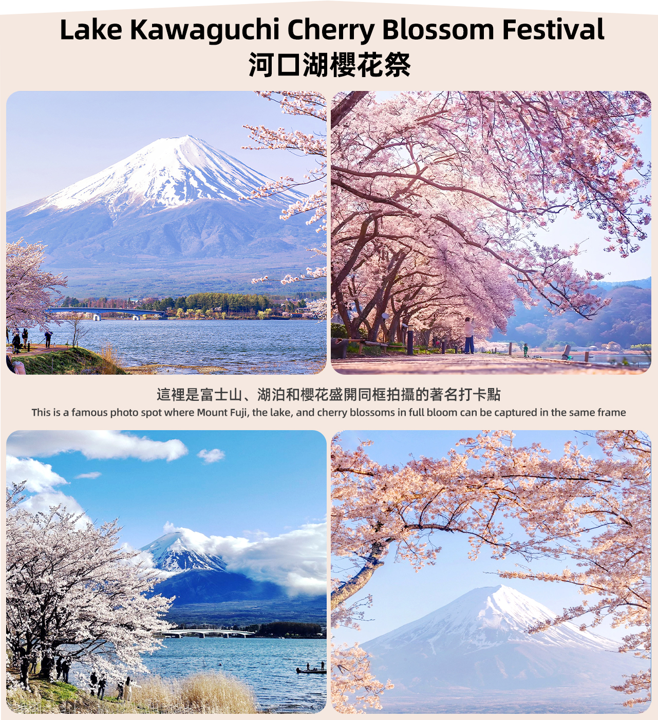 [One-day tour of Mount Fuji Internet celebrity & classic check-in] Mount Fuji Internet celebrity park & Tianti Town & Oshino Hakkai & Lawson convenience store & Kawaguchiko seasonal itinerary one-day tour