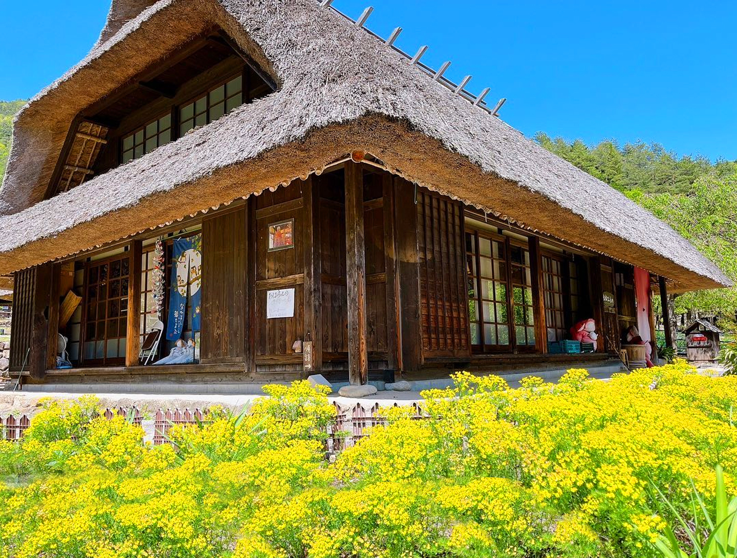 富士山壯麗美景或芝櫻節浪漫花海一日遊 （東京出發）