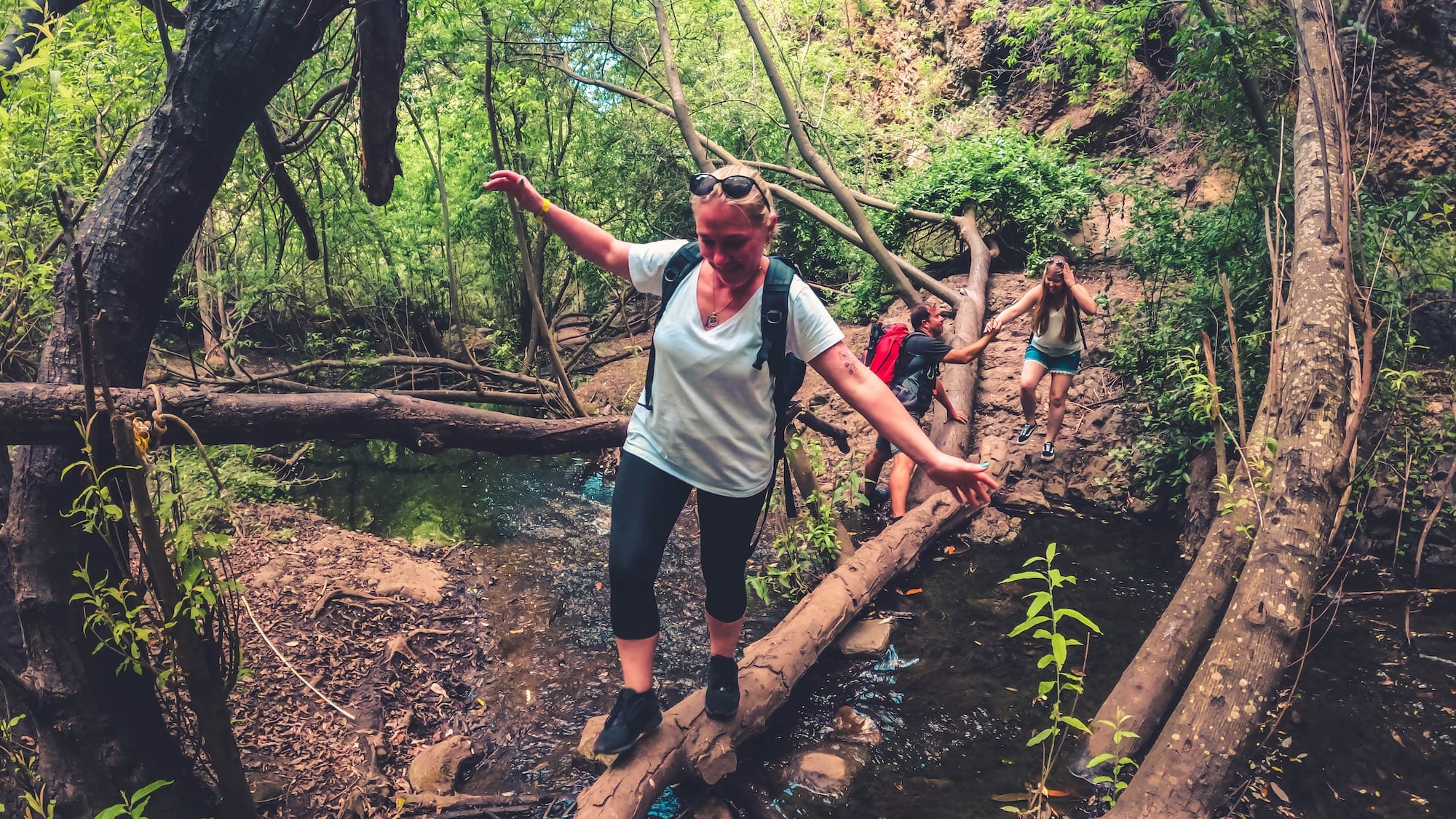 Eco-friendly rainforest trekking tour in Gran Canaria