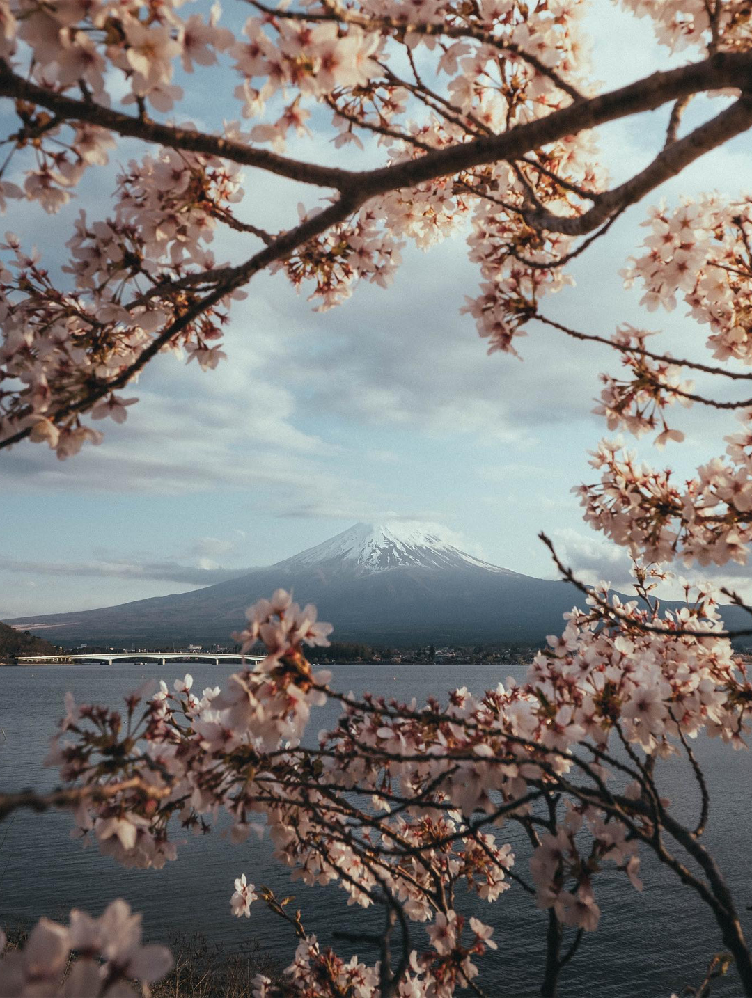 日本精品富士山河口湖一日遊 | 多款線路可選 | 東京往返
