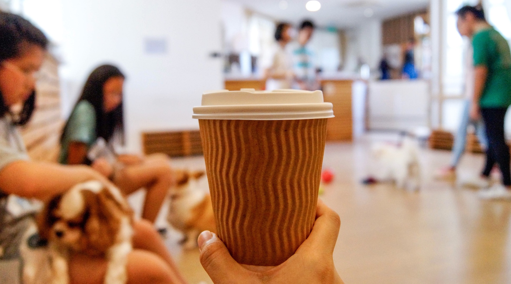 [SALE] We are the Furballs (WTF) Dog Café Entrance Fee at Bugis Sale 15