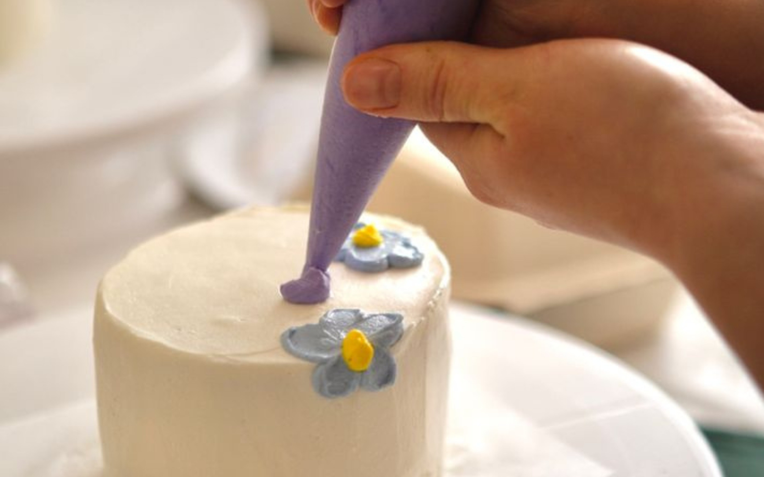 Bento Cake Decorating Workshop in Singapore