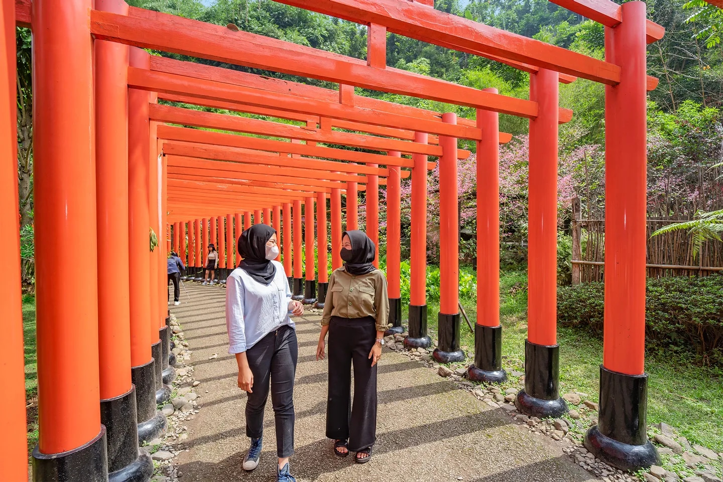 在伏見稻荷大社最具標誌性和神聖的神道神社拍攝令人驚歎的紀念照