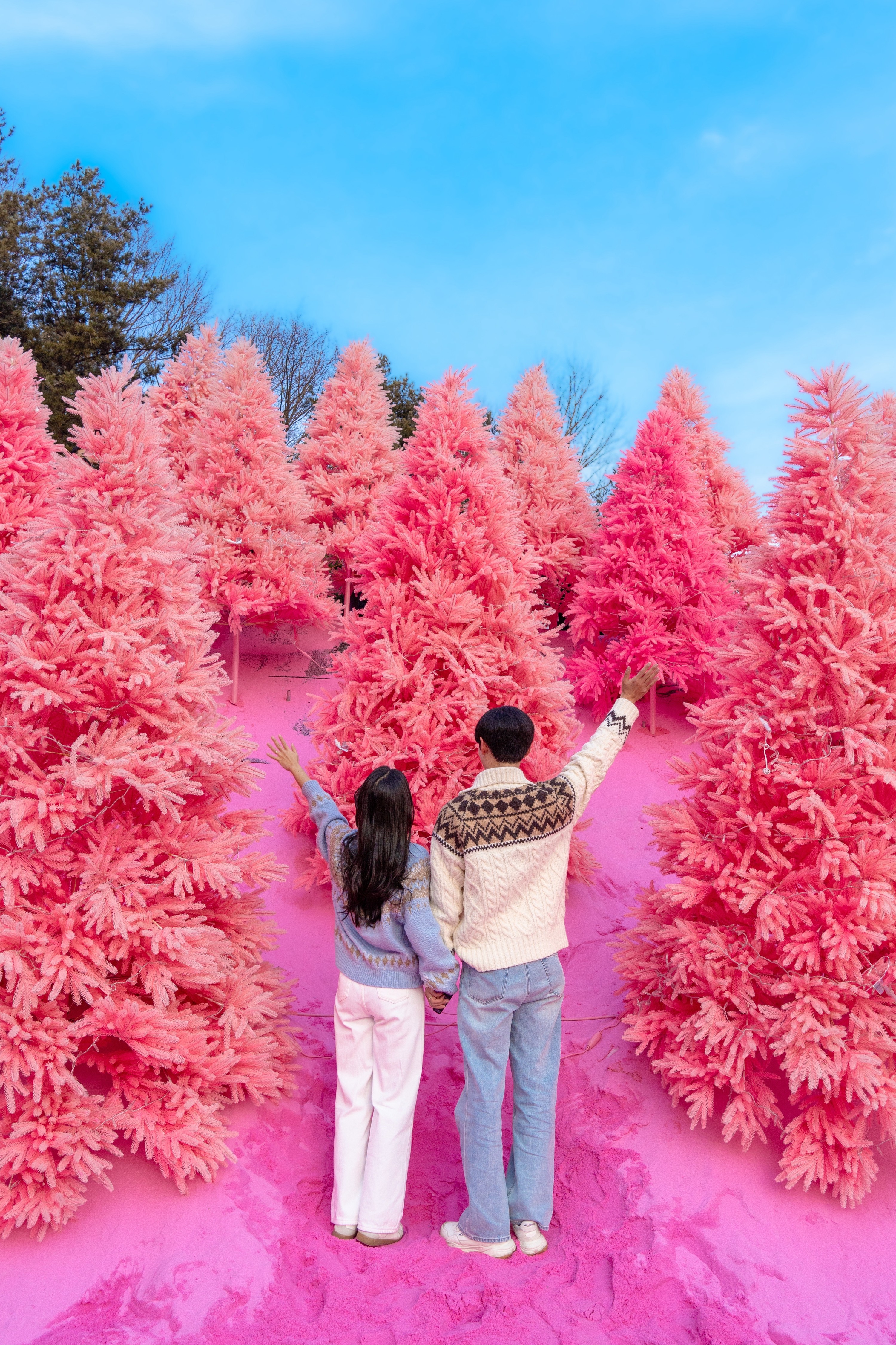 Romantic tour : Cherry blossom days in Spring from Seoul