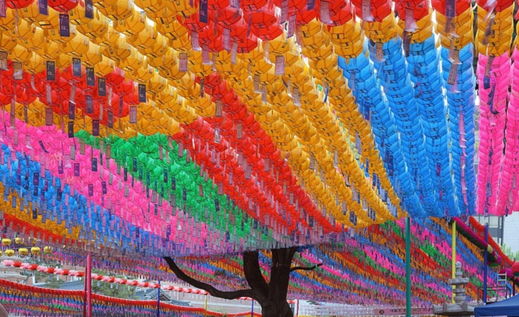 [Seoul] Jongno Heritage: Jongmyo(UNESCO), Jogyesa & Ikseon