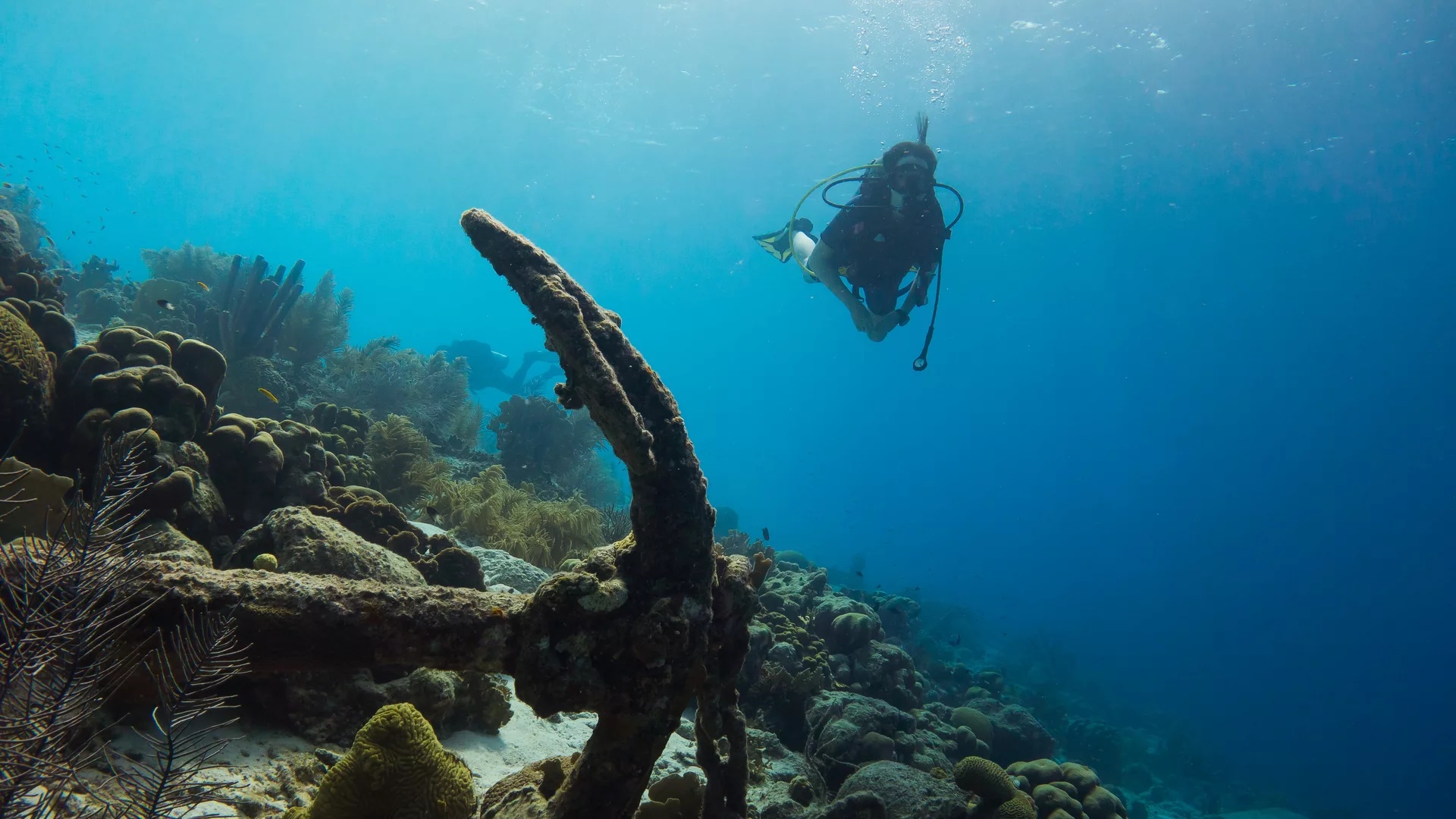 擴展您的潛水：大加那利島 PADI 5* 中心的高氧課程