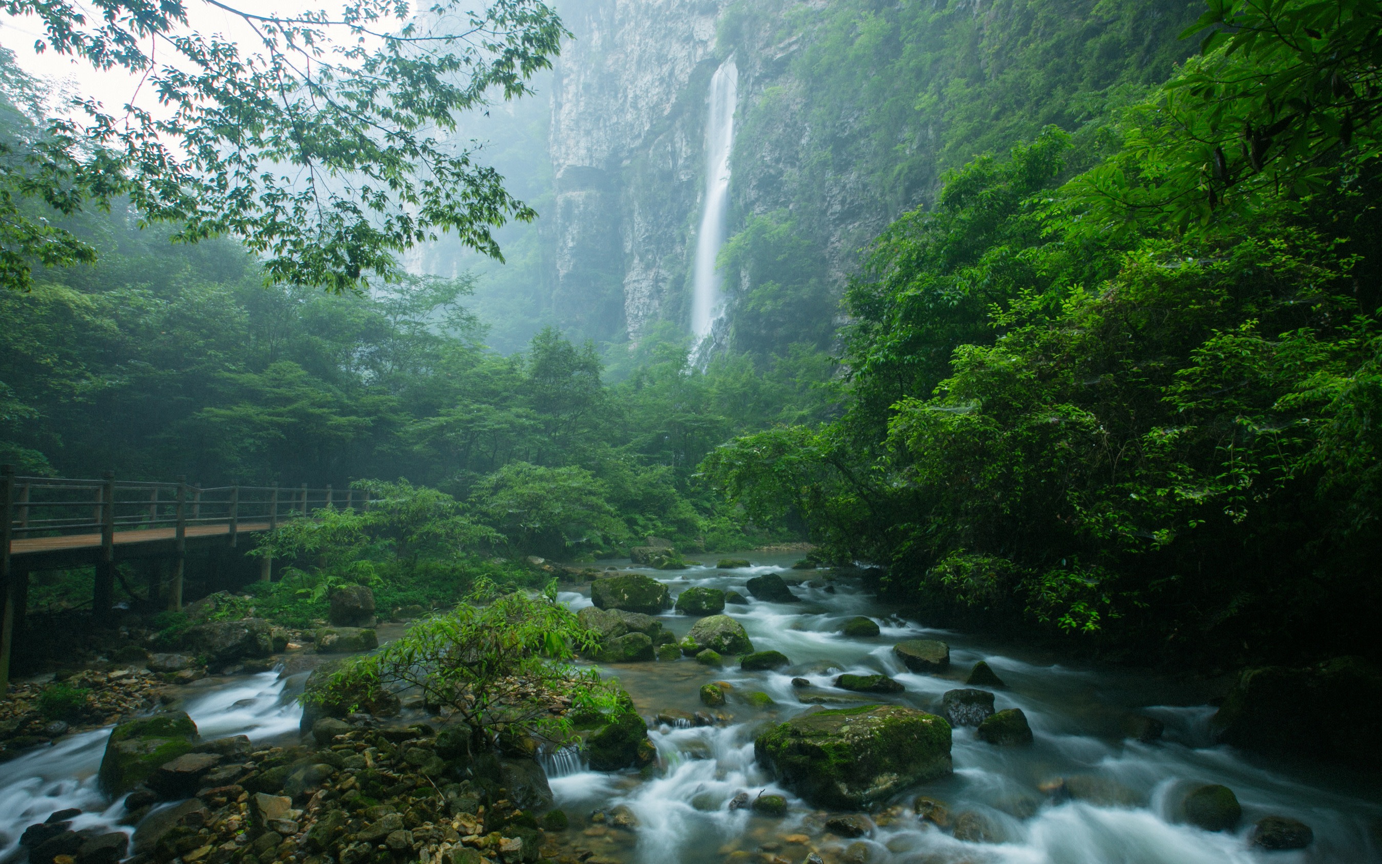 Zhangjiajie Glass Bridge & Yellow Dragon Cave Full-Day Experience