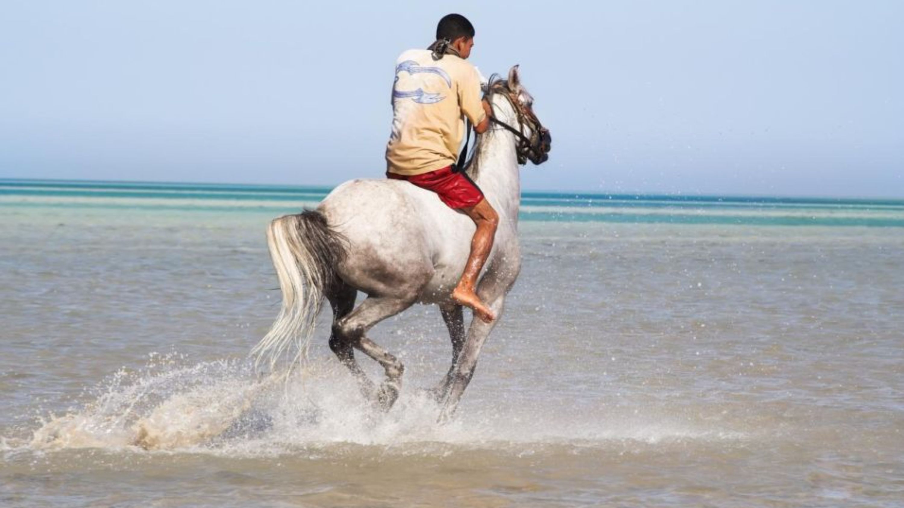 在騎行穿越赫爾格達迷人的荒野時,探索隱藏的自然寶藏 在騎行穿越赫爾格達迷人的荒野時,探索隱藏的自然寶藏