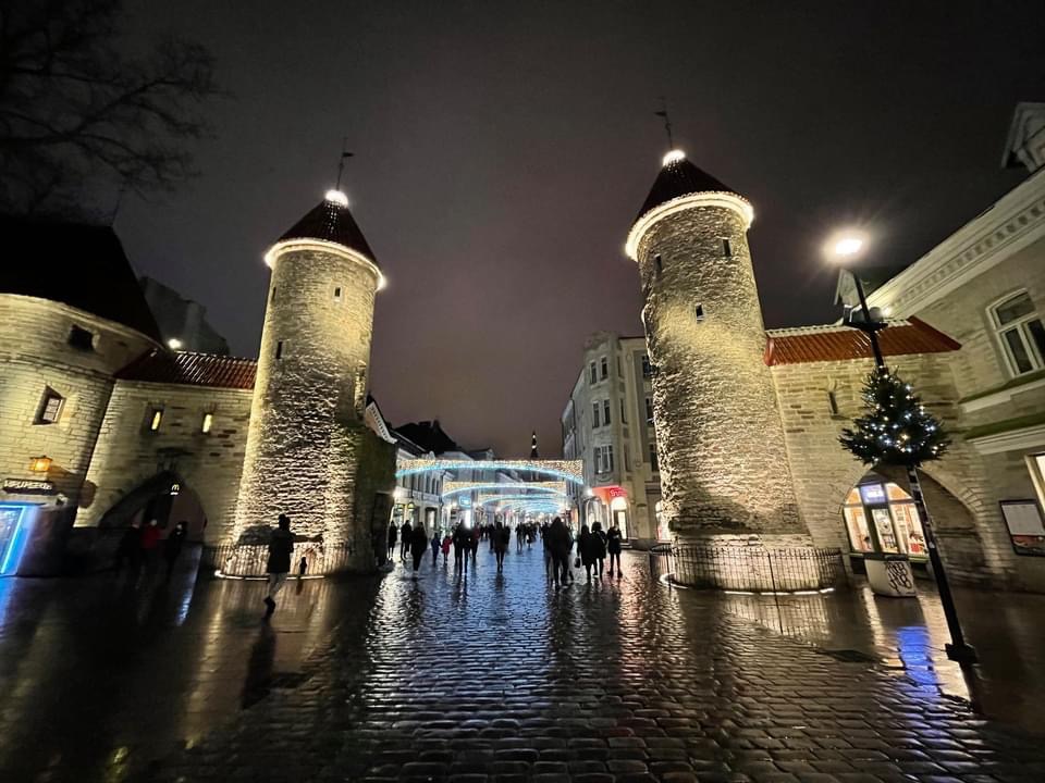 Old Town Tallinn & St Mary's Cathedral Half-day Architecture & Old Town Tour