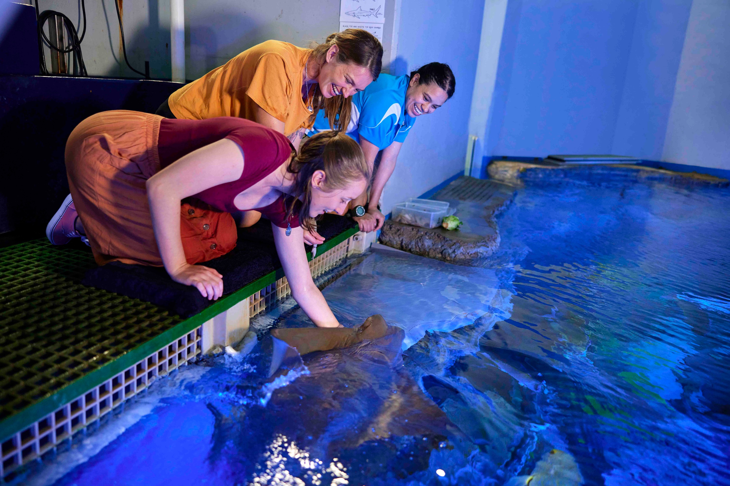 凱恩斯水族館海洋生物邂逅之旅