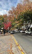 Adelaide City & Hahndorf Full-Day Tour