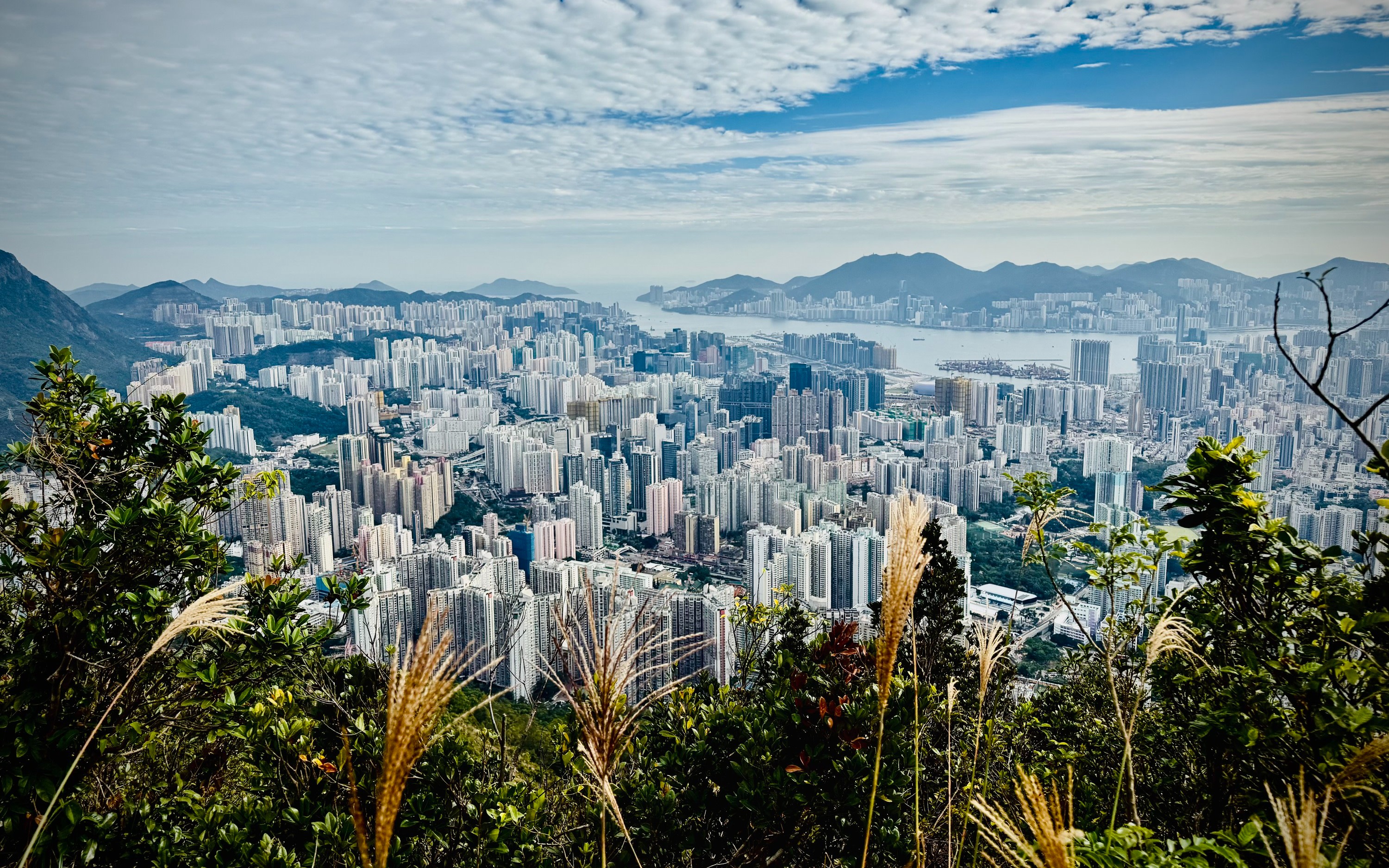 Tung Yeung Shan(533m) & Lion Rock Half-day Hiking & Hidden Gems Tour