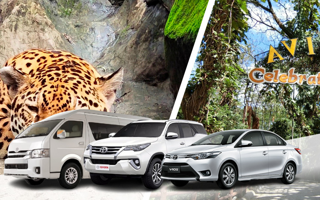 Private Transfers between Noah's Park & Avilon Zoo and Metro Manila